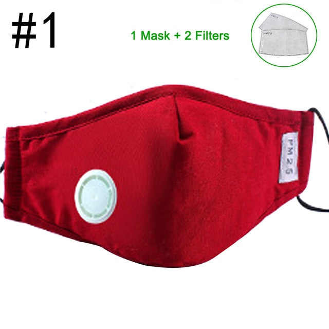 Anti Pollution N95 Mouth Mask