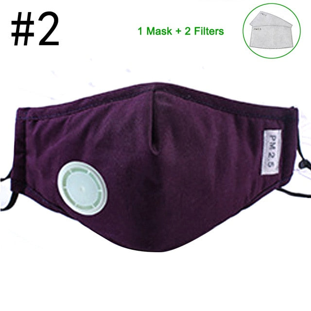 Anti Pollution N95 Mouth Mask