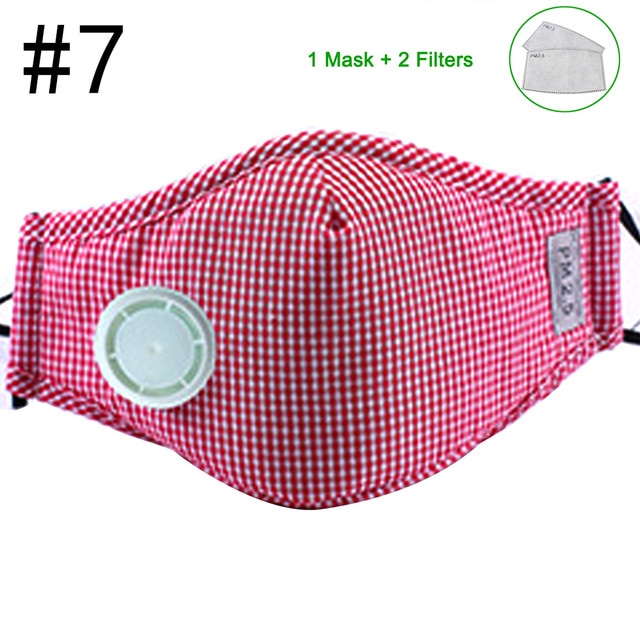 Anti Pollution N95 Mouth Mask