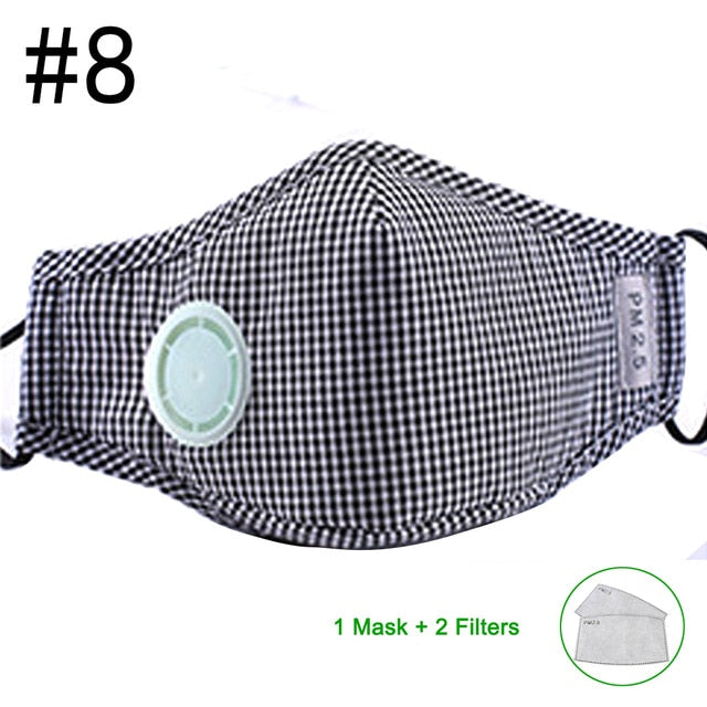 Anti Pollution N95 Mouth Mask